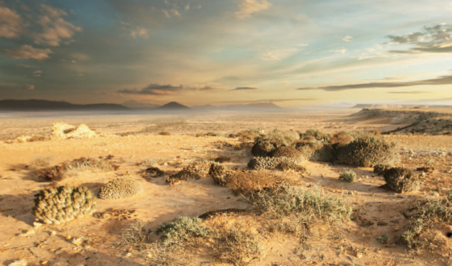 봄철 불청객 황사 봄철 불청객 황사